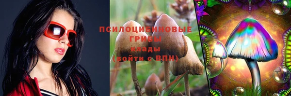 PSILOCYBIN Богданович